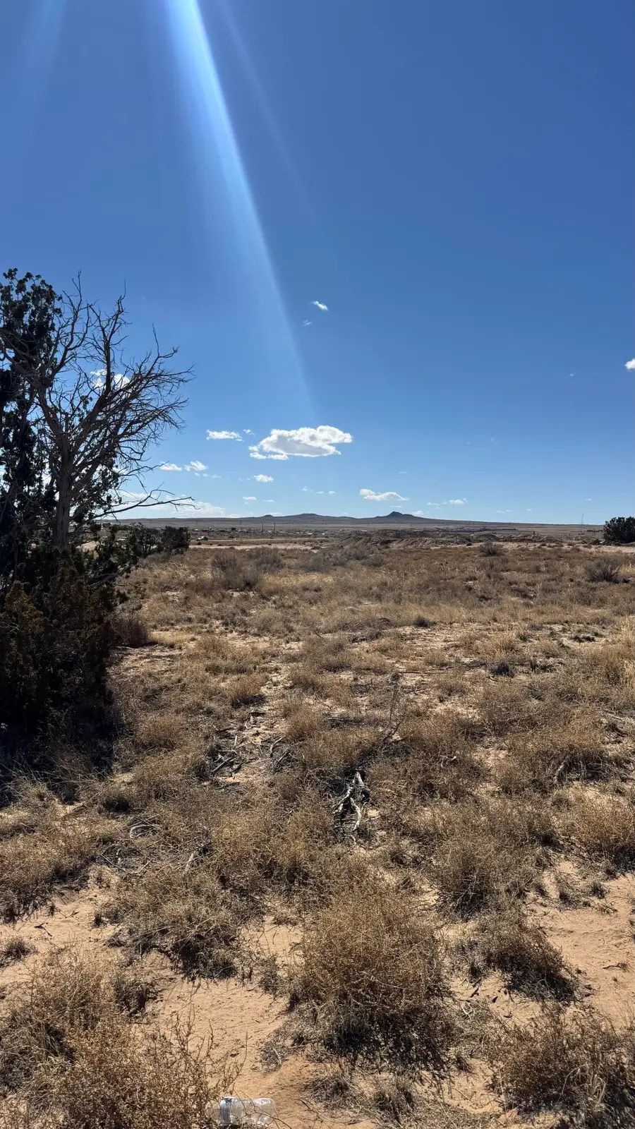 Azucena Place Nw #20, Albuquerque, NM 87120 - #3