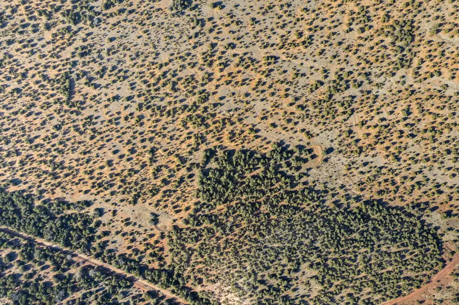 Subd: Manzano Grant S: 31 & 32, Mountainair, NM 87036 - #3