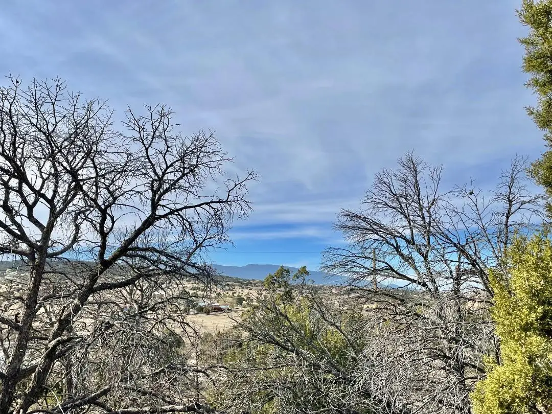 194 B County Line Road, Edgewood, NM 87015 - #1