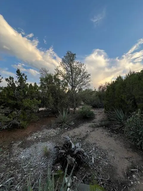 Lucas Road, Edgewood, NM 87015 - #3
