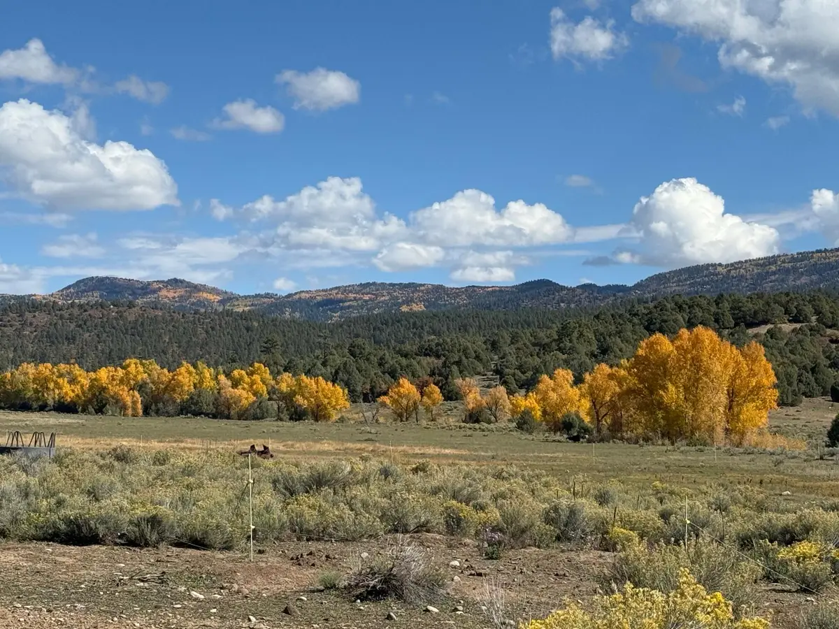 16853 Us-84, Chama, NM 87520 - #1