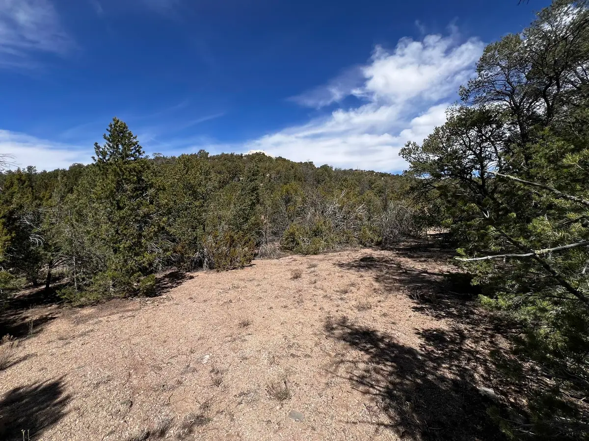 26 Lindsey Lane, Tijeras, NM 87059 - #1