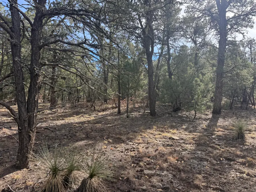 1-85-81 Entrada De Cibola, Tijeras, NM 87059 - #3