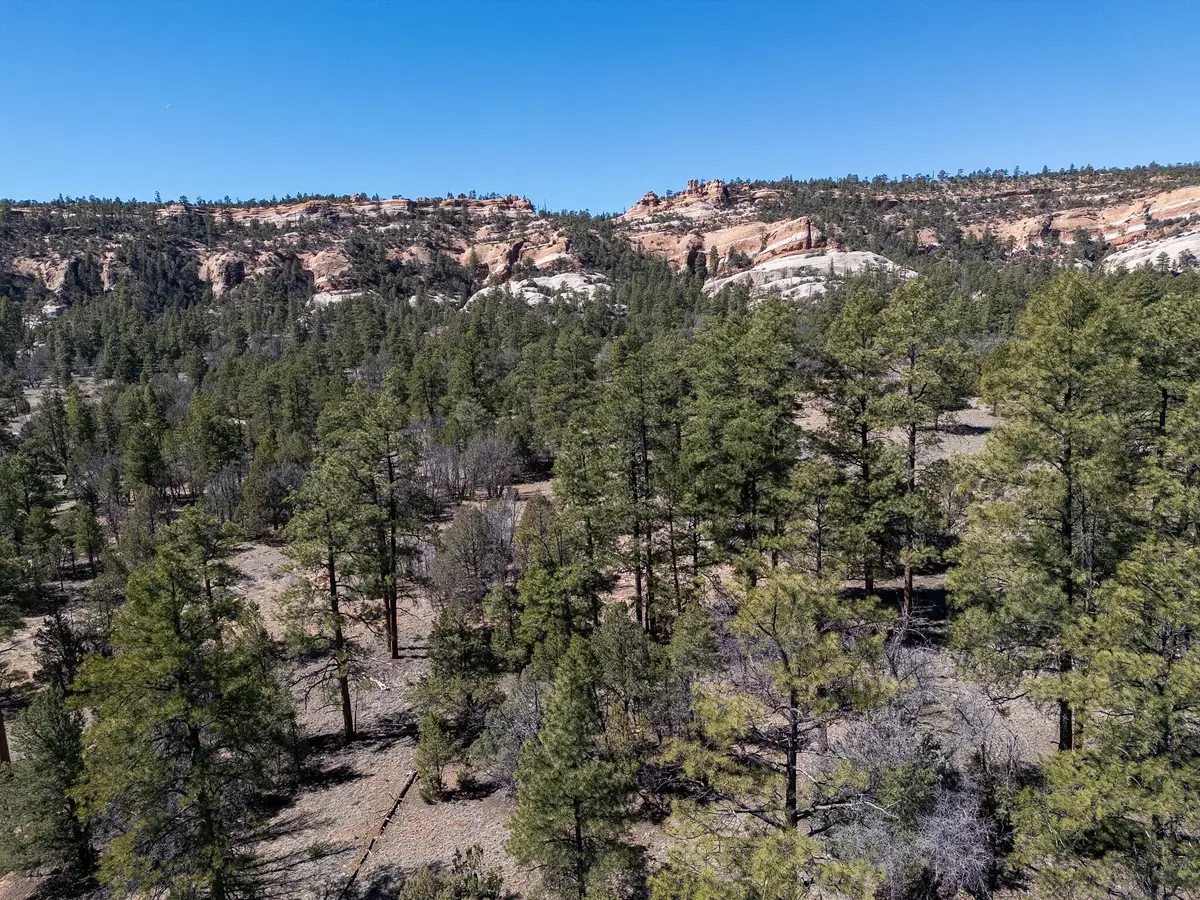 4-5 W Lobo Drive, Ramah, NM 87321 - #1