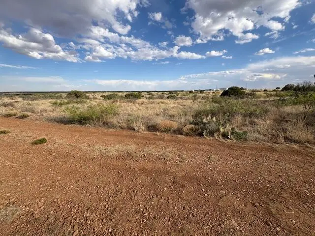 Lot 66 Pheasant Lane, Lake Sumner, NM 88119 - #1