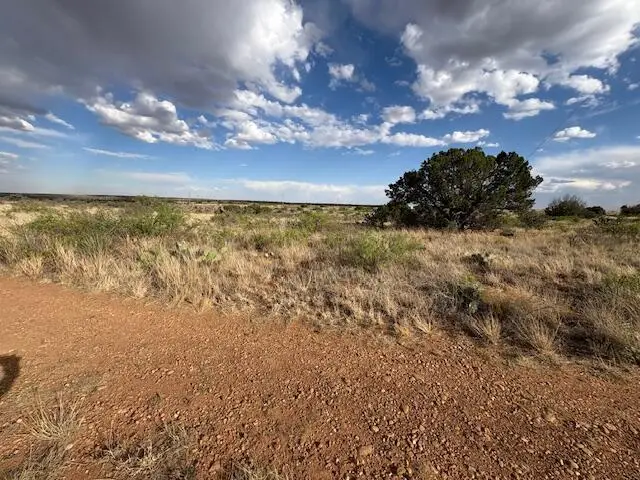 Lot 66 Pheasant Lane, Lake Sumner, NM 88119 - #2