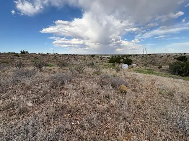 Lot 66 Pheasant Lane, Lake Sumner, NM 88119 - #3