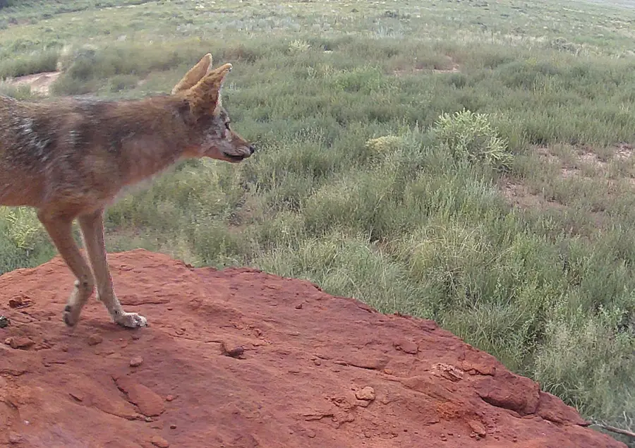 Hoodoo Hills Rd Road #5,8,10,11, Prewitt, NM 87045 - #2