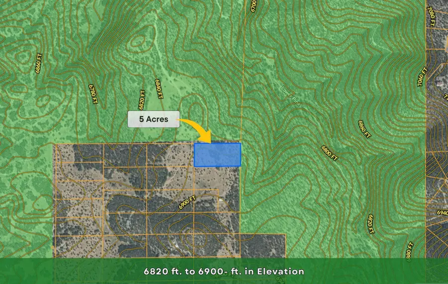 101 Forest Road, Tijeras, NM 87059 - #3