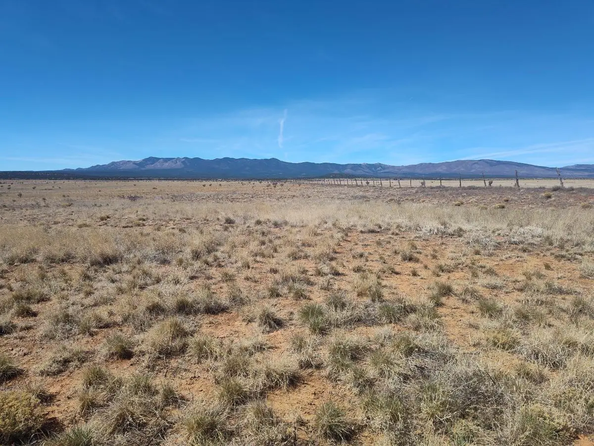 Tract A Spencer Ranch Road, Mountainair, NM 87036 - #1