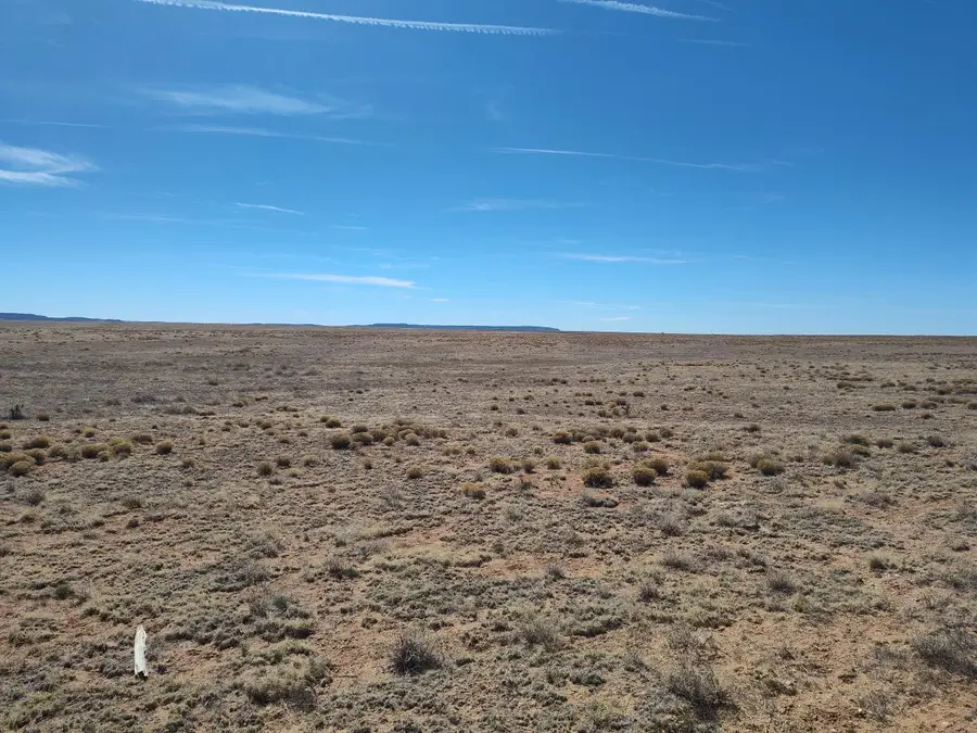 Tracts 1&2 Old Willard Road, Mountainair, NM 87036 - #3