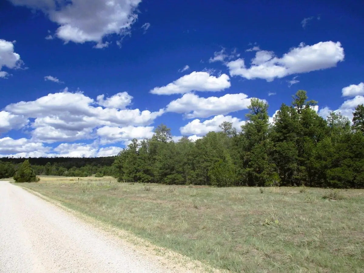 Lot 5 Copperweed Road, Ramah, NM 87321 - #1