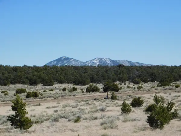 LOT 81 Artesian Avenue, Quemado, NM 87829