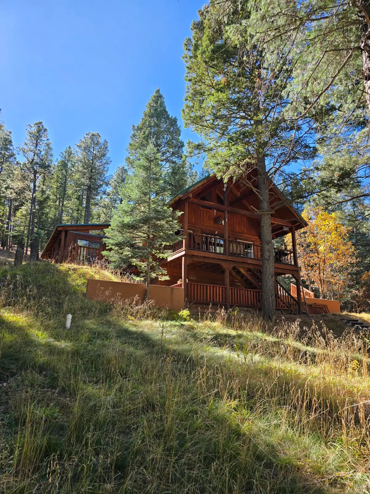 164 Camino Facil, Rociada, NM 87742 - #1