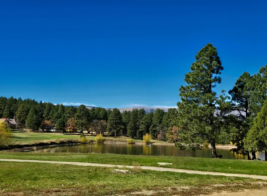 164 Camino Facil, Rociada, NM 87742 - #3