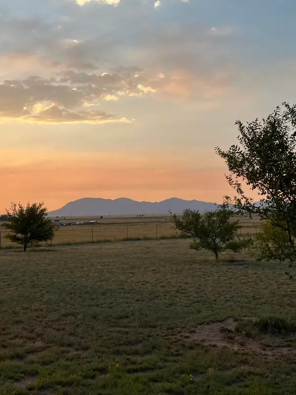 Tomasini Court, Moriarty, NM 87035