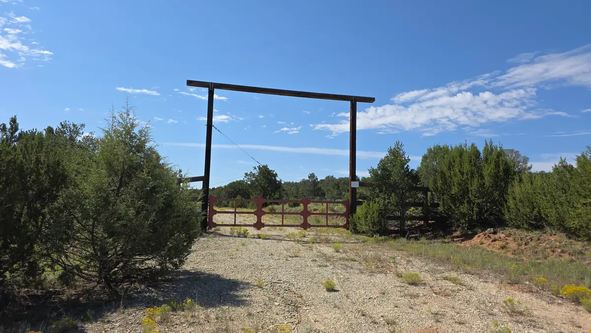 92 La Miga Canyon Road, Estancia, NM 87016 - #1