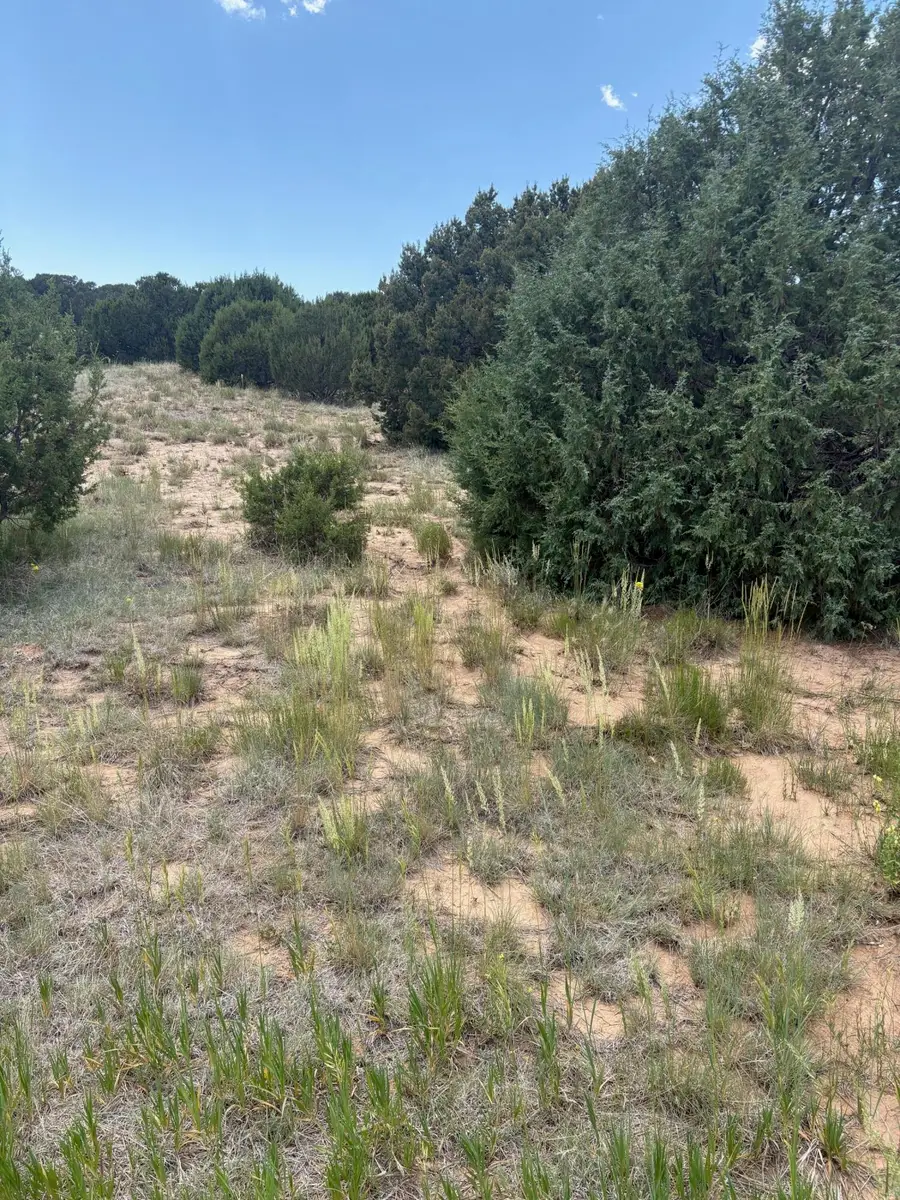 Wilson Ranch Lot#8, Tajique, NM 87016 - #3