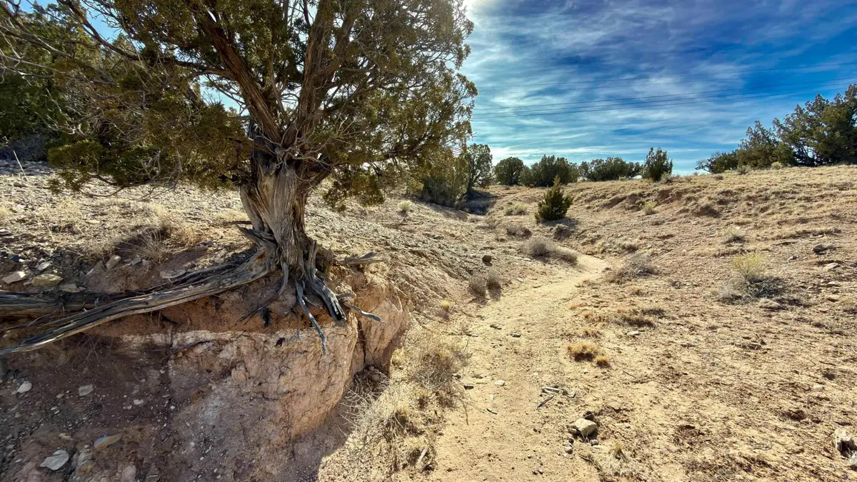 5 Cedar Vista Court, Algodones, NM 87001 - #1