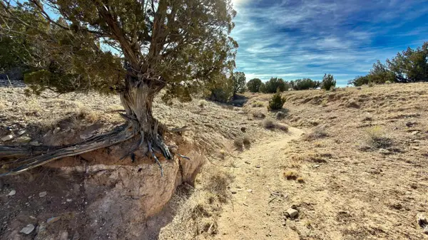 5 Cedar Vista Court, Algodones, NM 87001