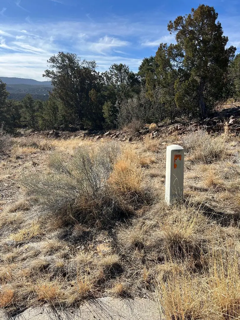 Tierra Vista Trail, Cedar Crest, NM 87008 - #2
