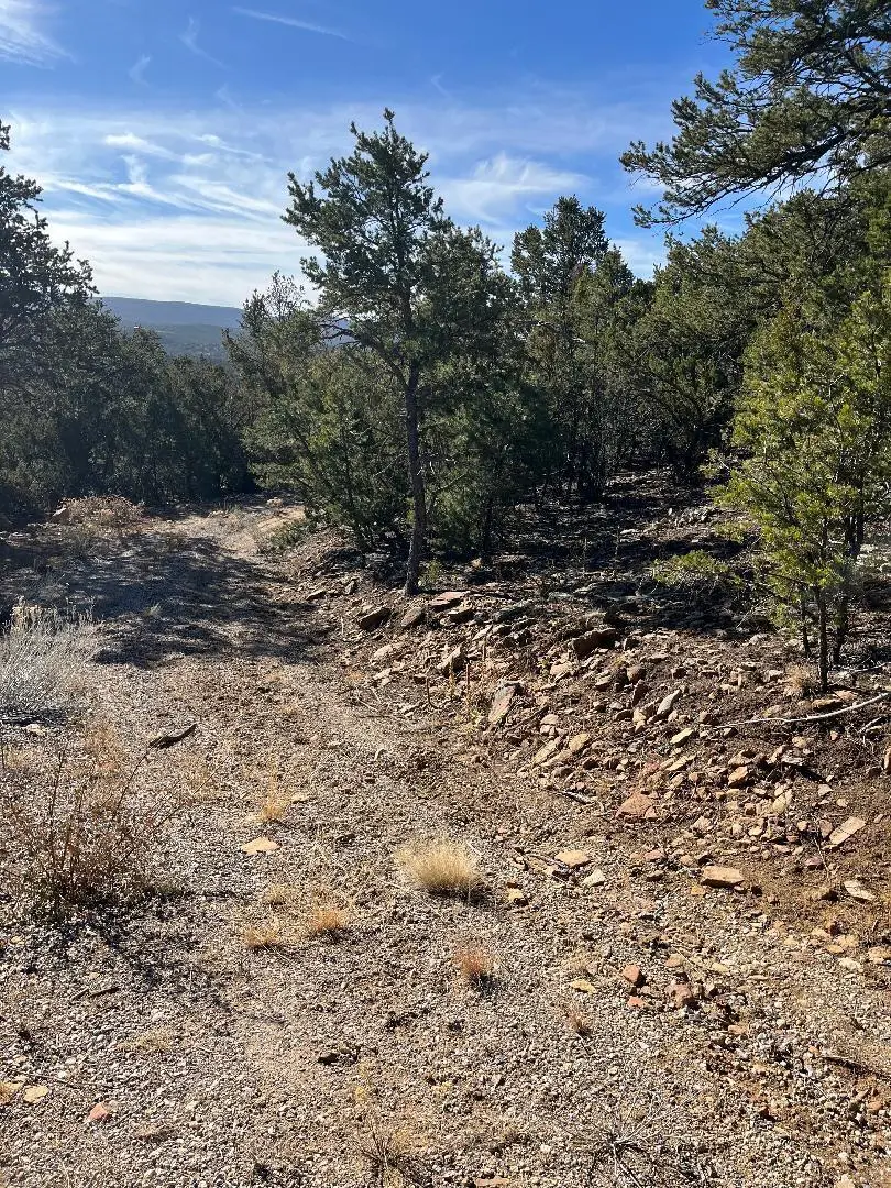 Tierra Vista Trail, Cedar Crest, NM 87008 - #3