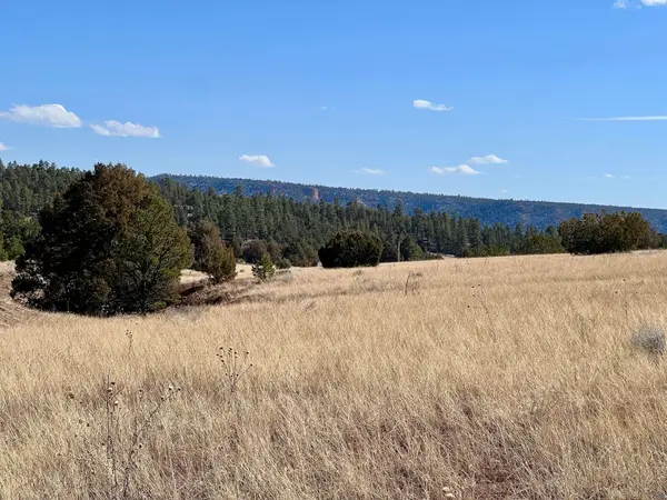 Lot 9 Juniper Drive, Ramah, NM 87321