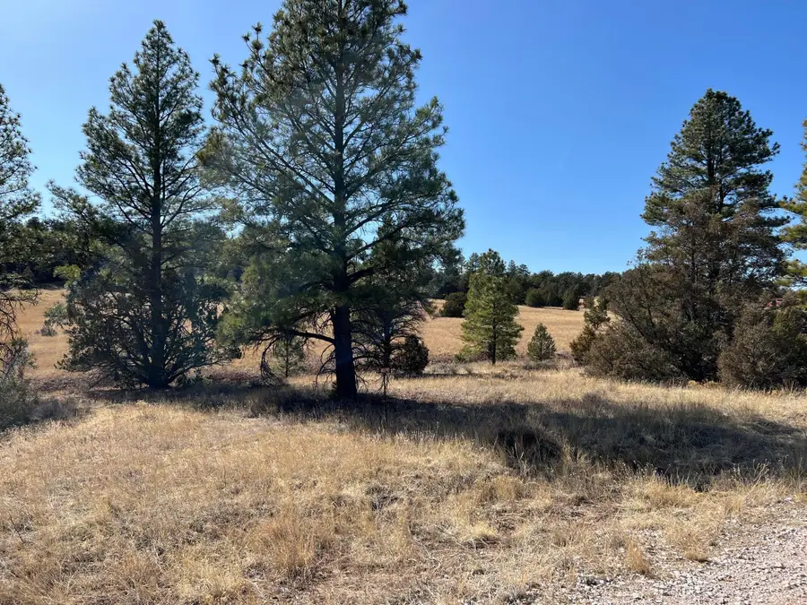 Lot 9 Juniper Drive, Ramah, NM 87321 - #2