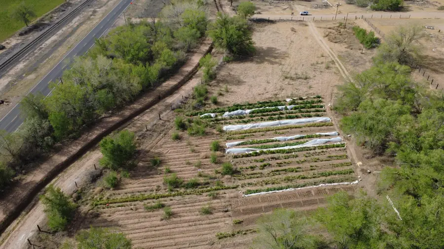 9 Burson Lane, Belen, NM 87002 - #2