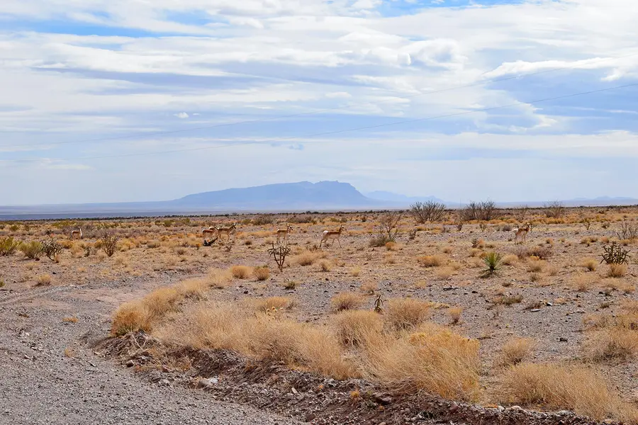 Lot 124 Rolling Hills, San Antonio, NM 87832 - #3