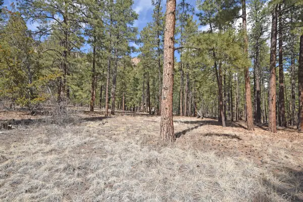 Lot 49 A Cool Pines, Jemez Springs, NM 87025