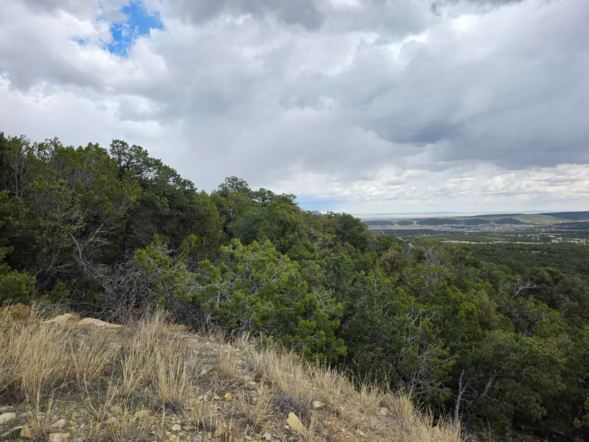 196 Via Sedillo Road, Tijeras, NM 87059 - #1
