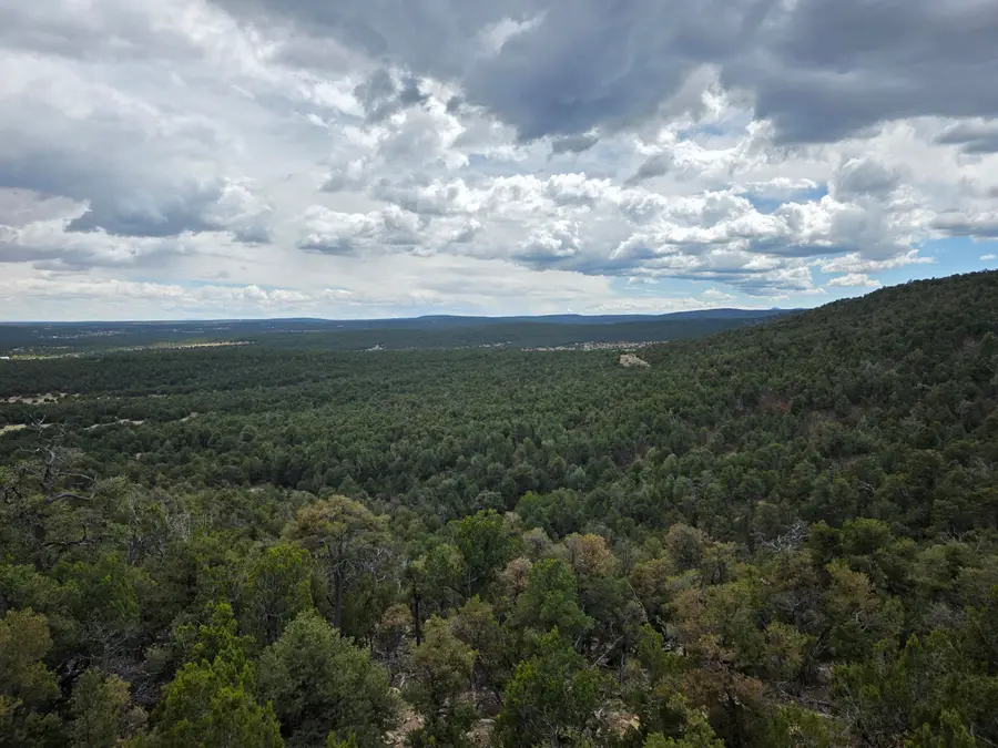 196 Via Sedillo Road, Tijeras, NM 87059 - #2