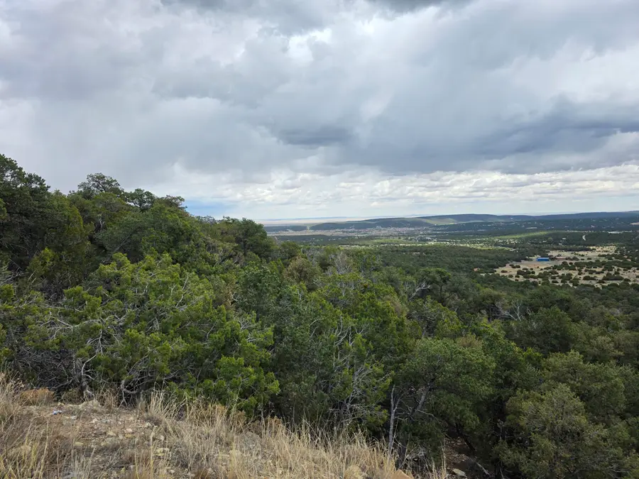196 Via Sedillo Road, Tijeras, NM 87059 - #3