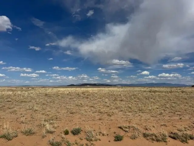 Emilia Ln Lane, Los Lunas, NM 87031 - #3