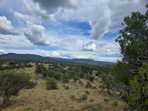 469 Co Rd 11, Jemez Springs, NM 87025