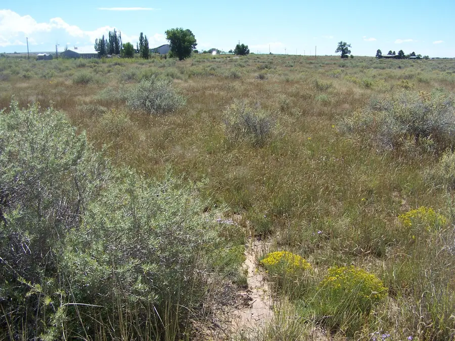 0 Galloway/belgian Avenue, Moriarty, NM 87035 - #2