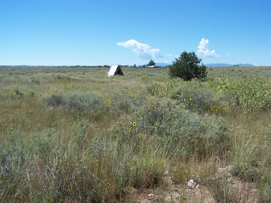 0 Galloway/belgian Avenue, Moriarty, NM 87035 - #3