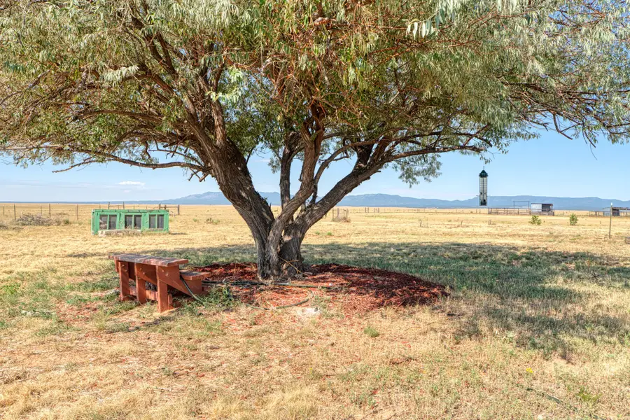100 Bluegrass S Road, Estancia, NM 87016 - #2
