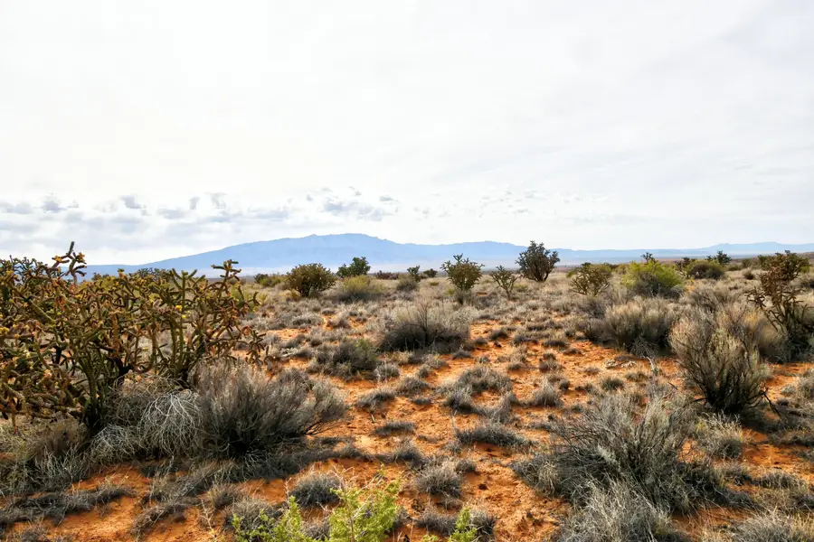 4513 Diane Street Ne, Rio Rancho, NM 87144 - #2