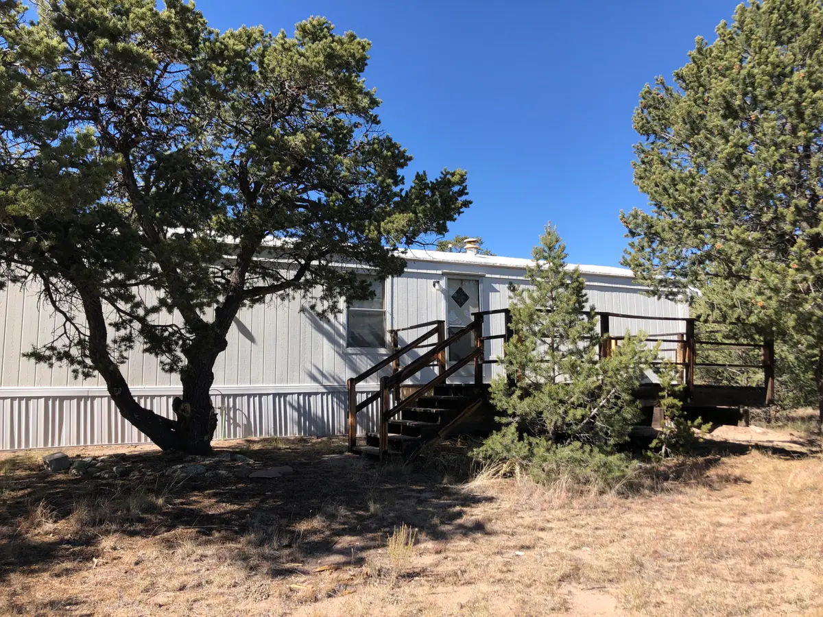 133 Homestead Trail, Datil, NM 87821 - #1