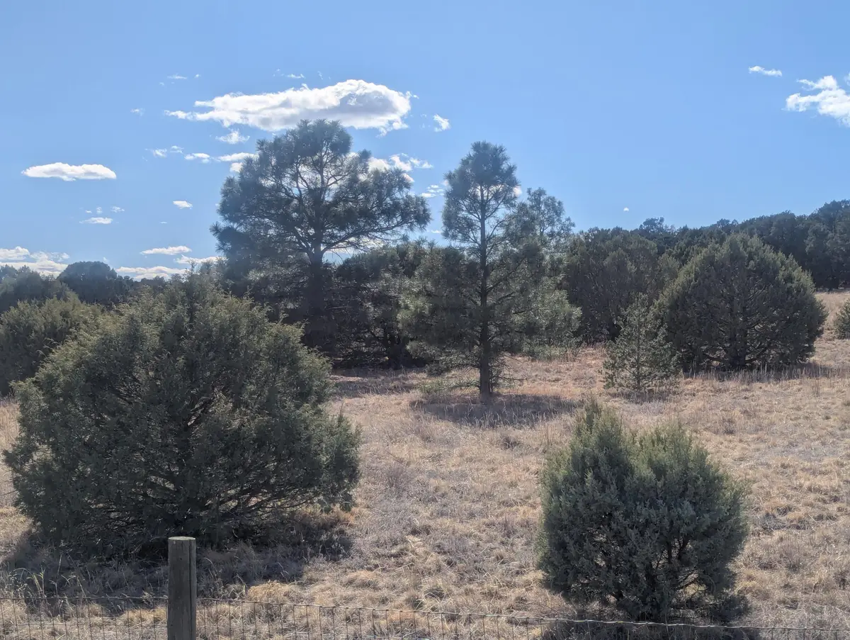 14 Falling Star Drive, Tijeras, NM 87059 - #1
