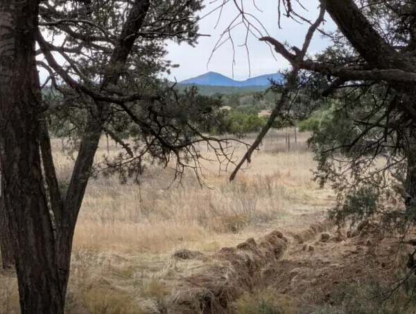 14 Falling Star Drive, Tijeras, NM 87059