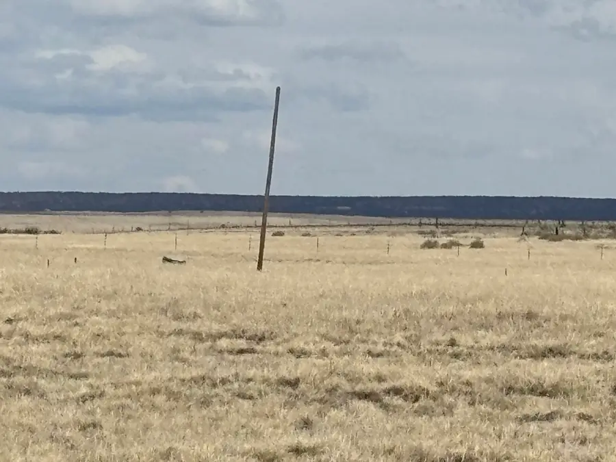 Parker Way, Moriarty, NM 87035 - #3