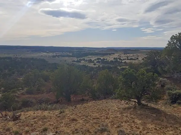 State Highway 595, Lindrith, NM 87029