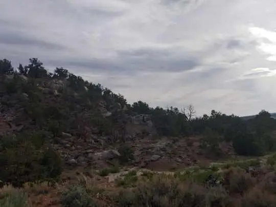 State Highway 595, Lindrith, NM 87029 - #3