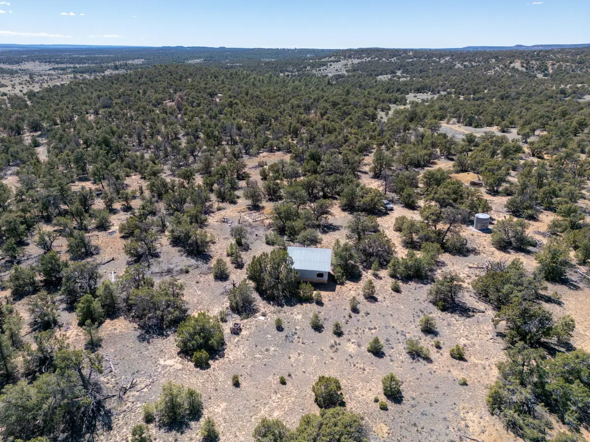 42 Jackrabbit Trail, Ramah, NM 87321 - #1