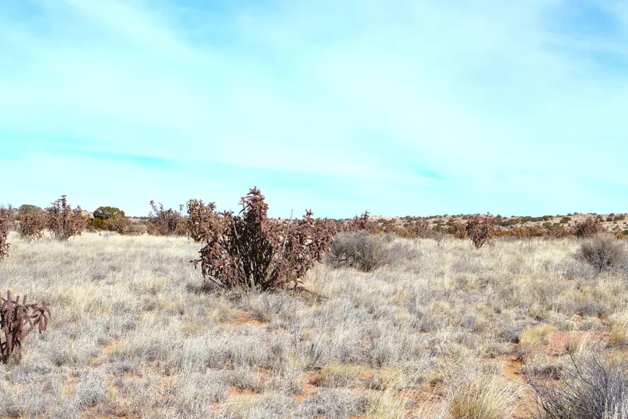 Lot 23 Rio Rancho Estates Ne, Rio Rancho, NM 87144 - #3