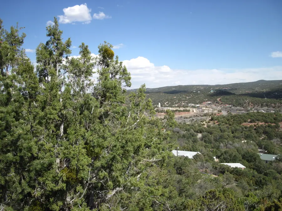 34 Eagle Trail, Tijeras, NM 87059 - #2