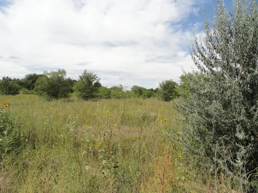 Molina Road, Peralta, NM 87042 - #3